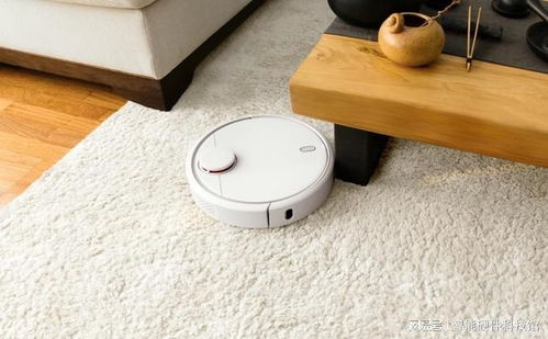 掃地機(jī)器人哪個(gè)牌子好？智能掃地機(jī)器人十大品牌測(cè)評(píng)與清潔服務(wù)指南