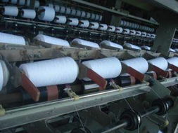 蒼南縣望里鎮海島清潔用品廠 專業清潔服務，守護環境之美